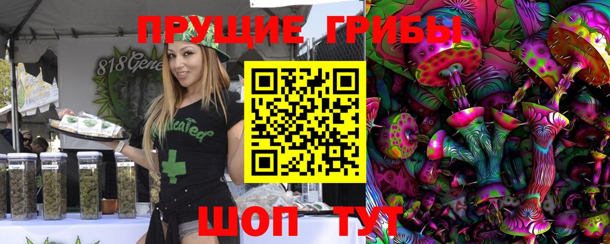 Псилоцибиновые грибы Cubensis Ленинск-Кузнецкий